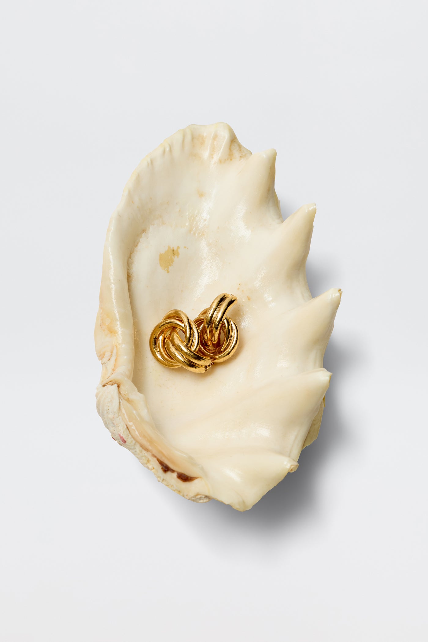 The Nolana - Gold earrings, crafted in gold-plated brass, rest inside a large cream-colored, ridged seashell on a white background, exuding subtle vintage glamour.