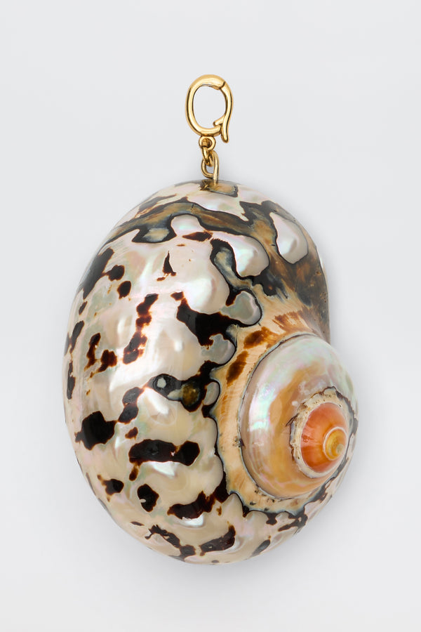 A polished, patterned shell with dark and light patches and a swirling center is attached to a gold clasp at the top, perfect for wearing as a necklace pendant—an exquisite Elira - Gold charm reminiscent of treasures found at antique fairs.