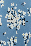 Pattern Image
