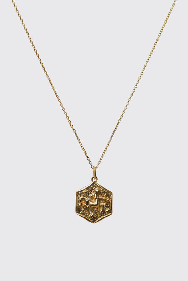 Zodiac - Aries features a gold vermeil fine chain and a hexagonal pendant with a raised, detailed design. Centered on a plain light background, this timeless necklace makes the perfect addition to any zodiac jewelry collection.